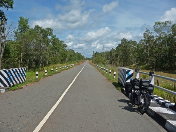 Jalan Panjang di Taman Nasional Wasur.